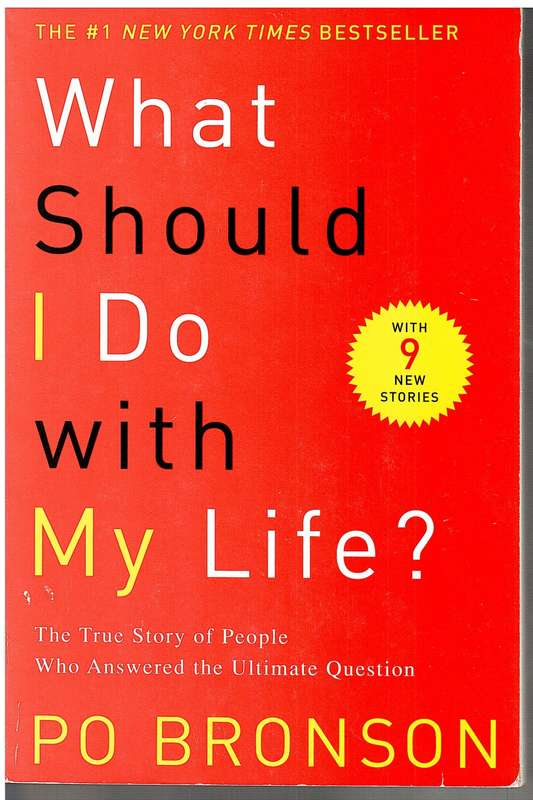 What Should I Do With My Life: The True Story of People Who Answered the Ultimate Question - Bronson