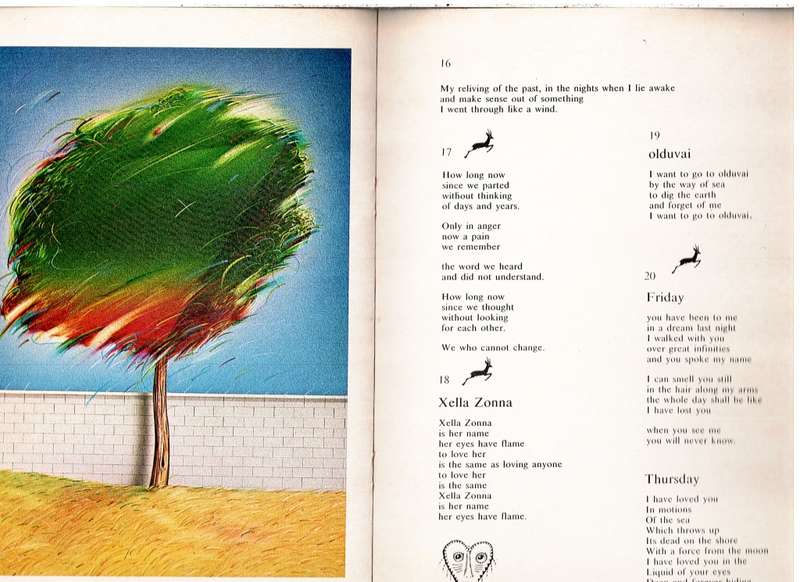 Last Letters From The Wilderness - Ramsay Mackay (Words) & Norman Catherine (Illustrations)