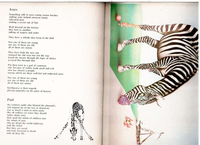 Last Letters From The Wilderness - Ramsay Mackay (Words) & Norman Catherine (Illustrations)