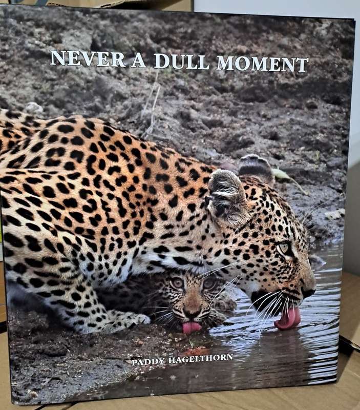 Never A Dull Moment - Paddy Haglethorn