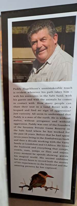 Never A Dull Moment - Paddy Haglethorn