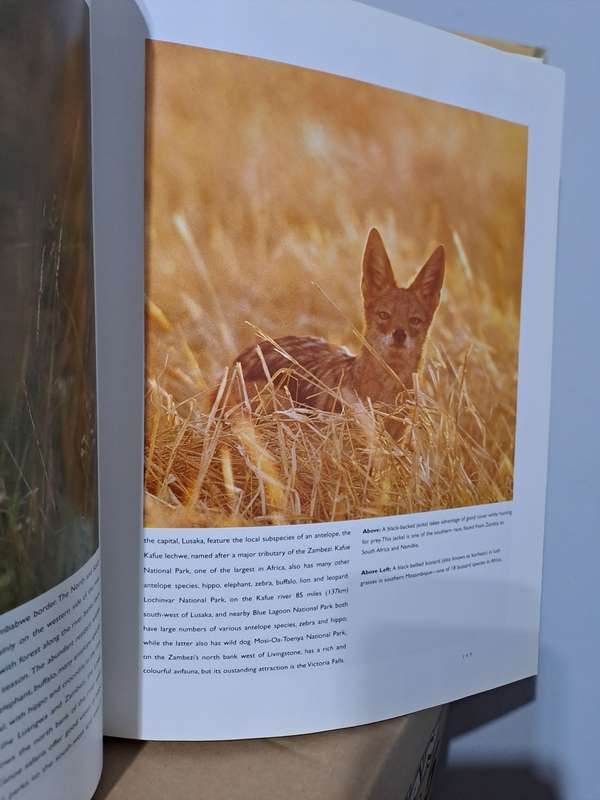 Africa's Animal Kingdom: A Visual Celebration - Kit Coppard