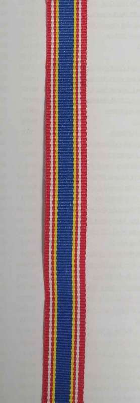 SAPS 10 Year Service Ribbon