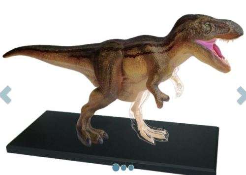 Science Educational T-Rex Dinosaur Skeleton Animal Anatomy