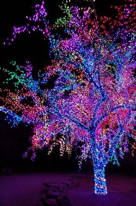 SOLAR FAIRY LIGHTS 19M 240 LED MULTICOLORS CHRISTMAS OUTDOOR DECOR LIGHTING FESTIVE DECORATIVE