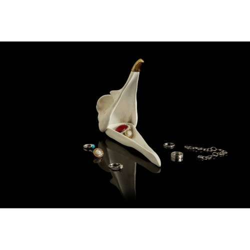 Unusual Items Gifts Bird Skull Jewellery Storage Organiser Display Men Ladies