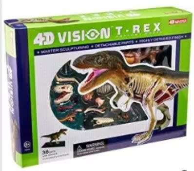 Science Educational T-Rex Dinosaur Skeleton Animal Anatomy