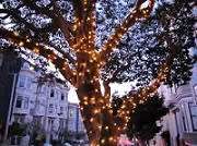 Fairy Lights Solar Festive Party Decorative Outdoor Lighting 10M