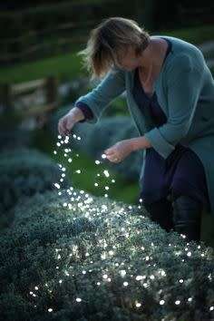 Solar Fairy Lights