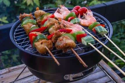 Portable Braai and Cooler Bag