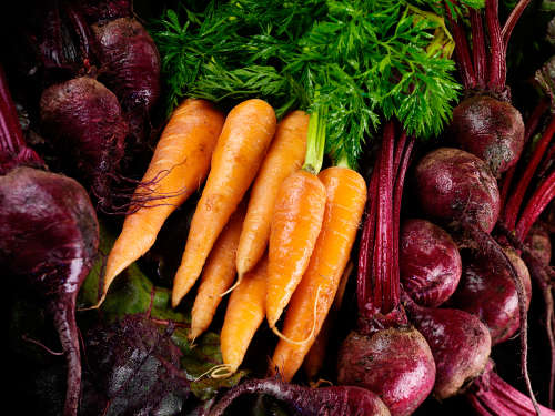 NutriCentre Fruit and Vegetable
