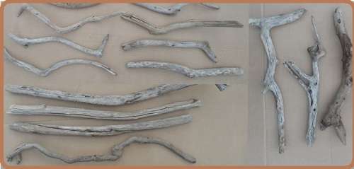 Driftwood