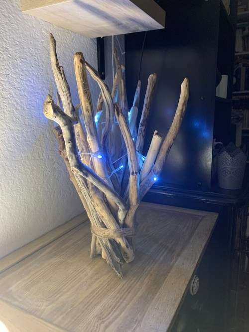 Driftwood Logs and Pieces Lot 11