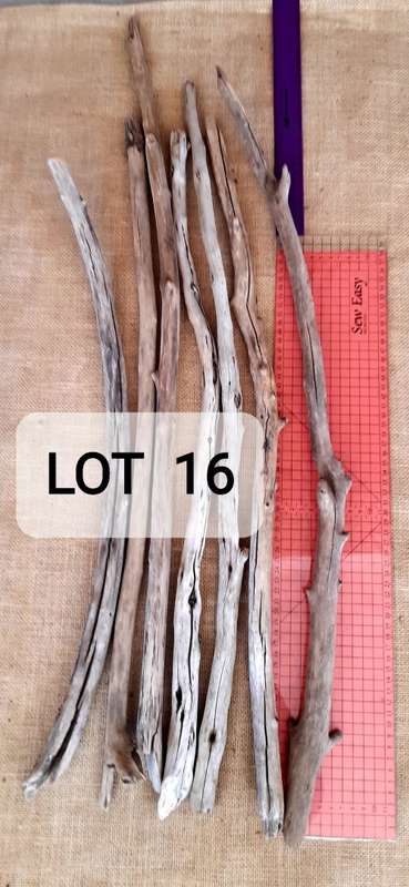 Driftwood Logs and Pieces LOT 16