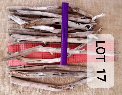 Large Driftwood Logs and Pieces LOT 17