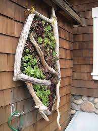 Wood Decor Driftwood Lot 73
