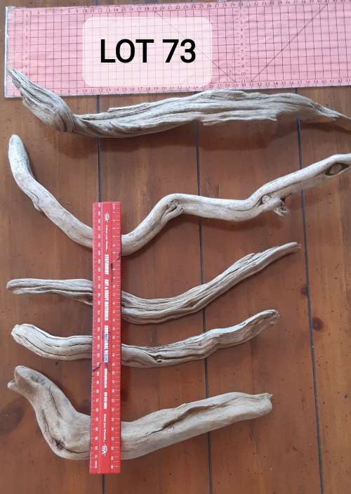 Wood Decor Driftwood Lot 73