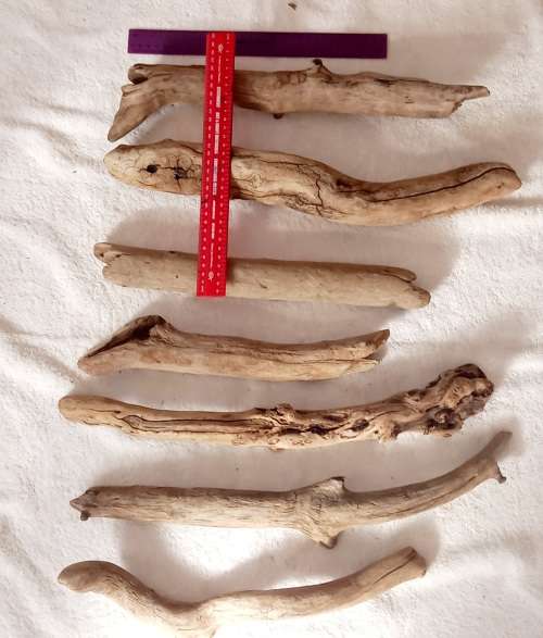 Driftwood Large Pieces Lot 7