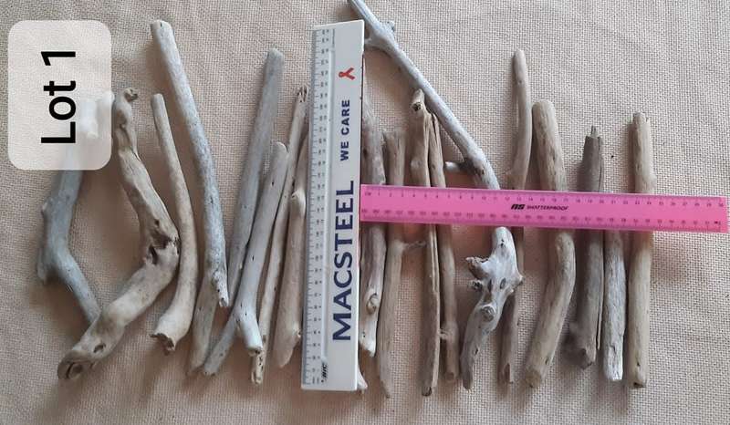 Driftwood Lot 1