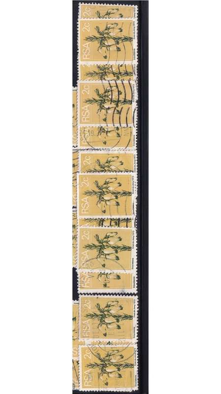 1974 South Africa 2c Wild Heath. green, ochre. R1.50 per single stamp.