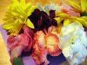 Edible Flower Mix 50 +Seeds FB