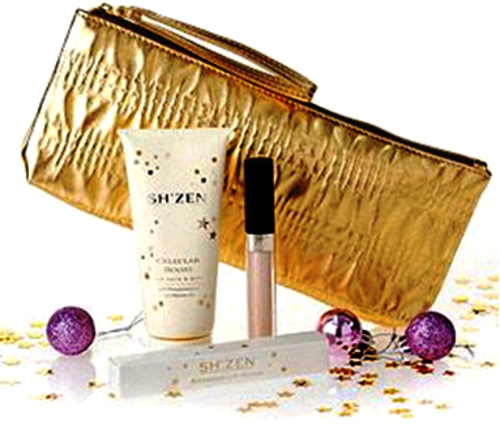 IMPORTED Sh'Zen Shimmer Lip Gloss WITH LIMITED EDITION GOLD BAG- VALUED OVER R299.00