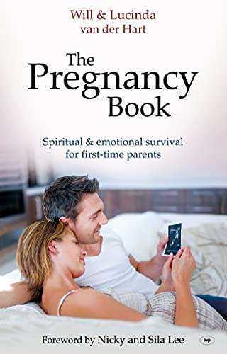 The Pregnancy Book: Spiritual and Emotional Survival for New Parents Paperback
