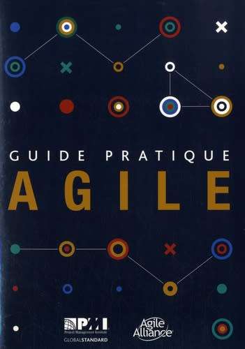 Guide pratique des mathodes Agiles (French edition of Agile practice guide) Paperback