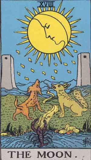 Tarot Card by Card  The Moon book