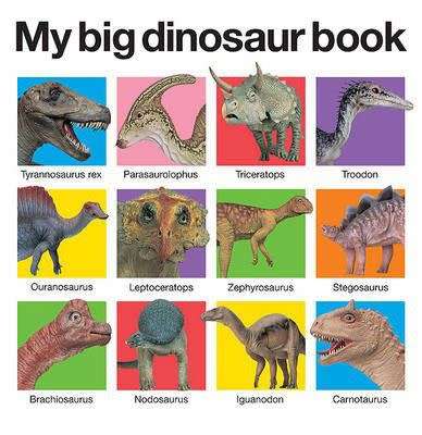 My Big Dinosaur Book - hardcover