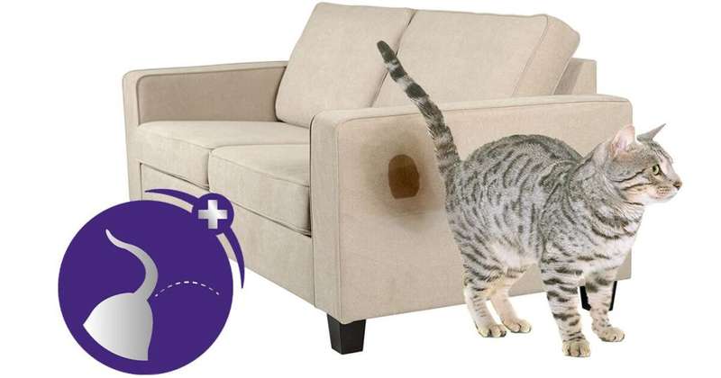 Feliway Classic Diffuser& Refill 48ml