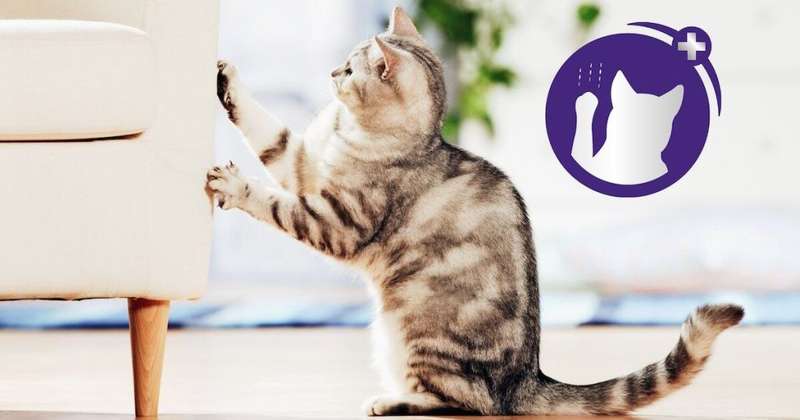 Feliway Classic Diffuser& Refill 48ml
