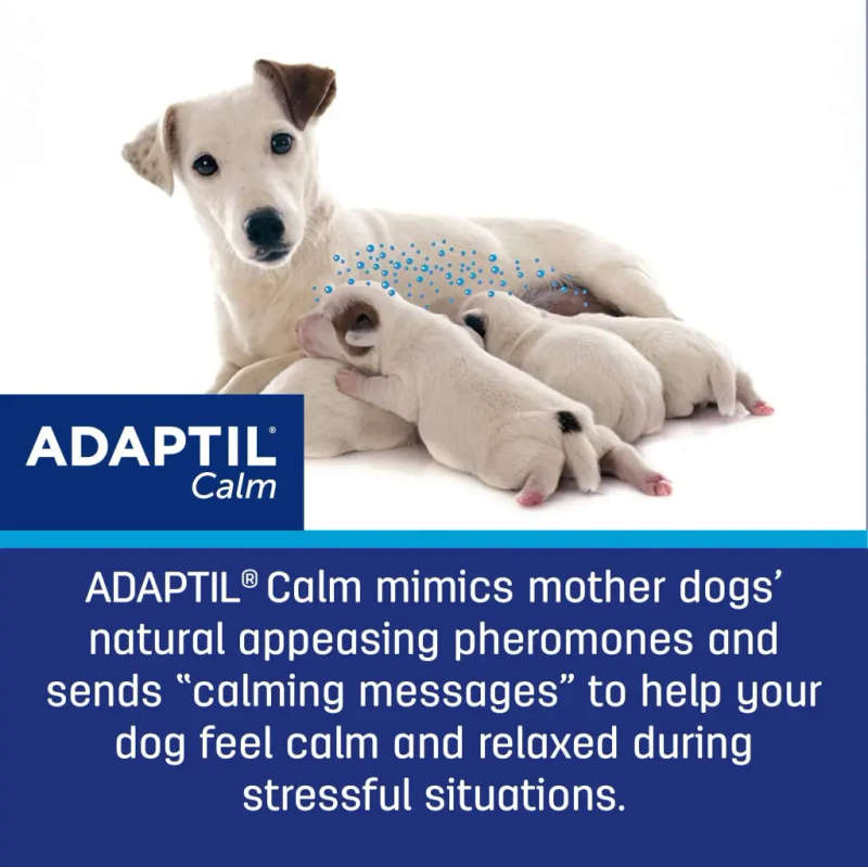 Adaptil Calm Collar - S