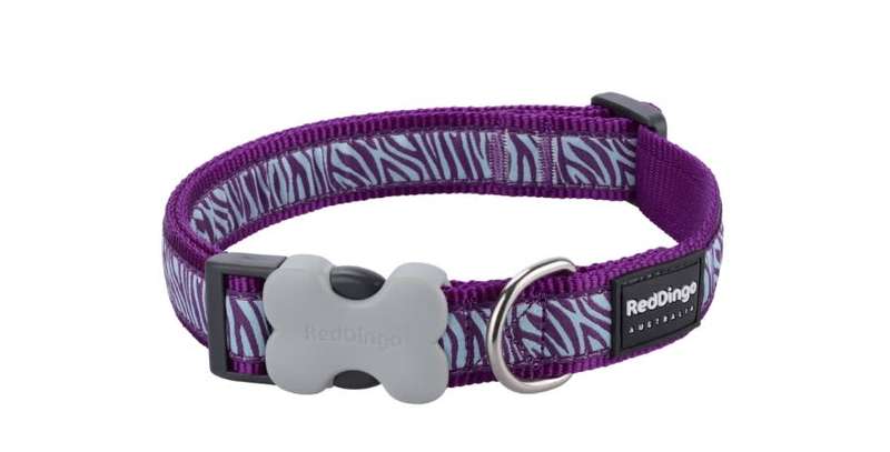 Red Dingo Design Collar - Safari Purple - Purple - L