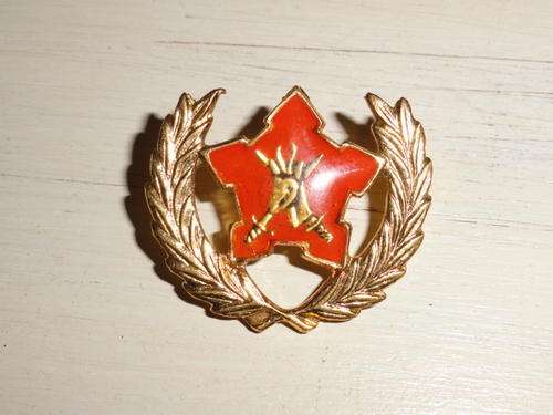 Army volunteers badge