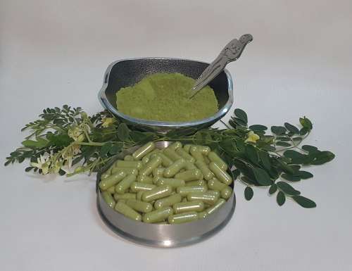 Moringa Capsules (1000- Bulk)