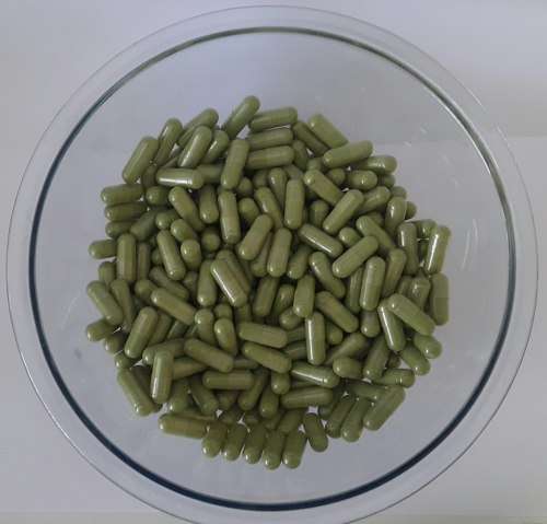 Moringa Capsules (500)