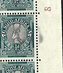 Union of SA -SACC 113 - Variety - Black offset