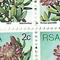 RSA SACC 419 - 2c Protea series- Variety- 2c printed in perf margin
