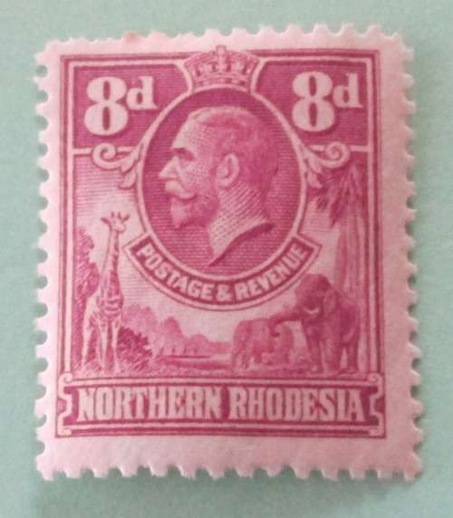 NORTHERN RHODESIA - KG V 8d UNUSED STAMP