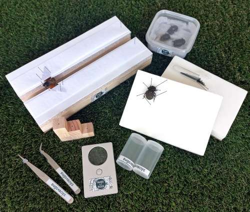 Insect Setting Kit