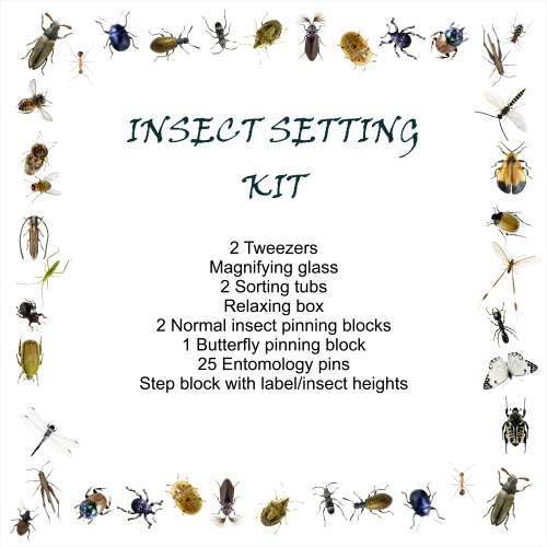 Insect Setting Kit