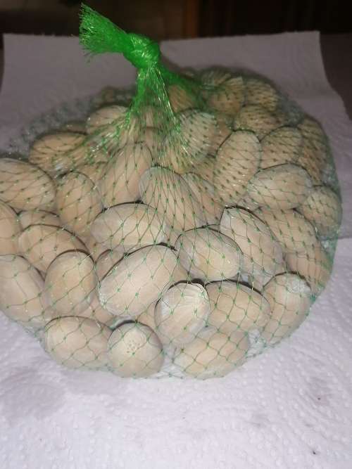 20 x E.Aemulans cycad seeds
