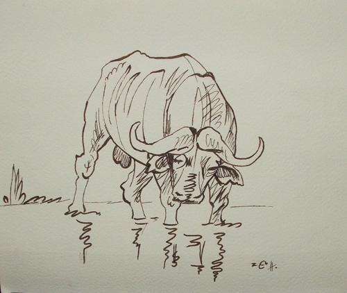 Beautiful Original Zakkie Eloff - Ink on Fabriano Paper