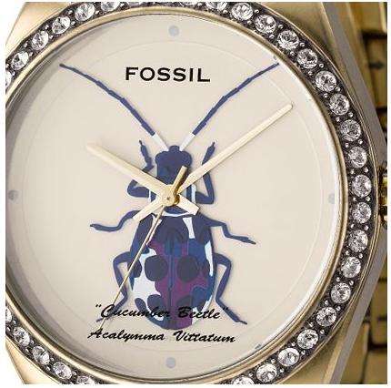 Fossil Womens Beetle Bug Oversize  ES2257 Swarofski Crystals Watch Stunning !!!