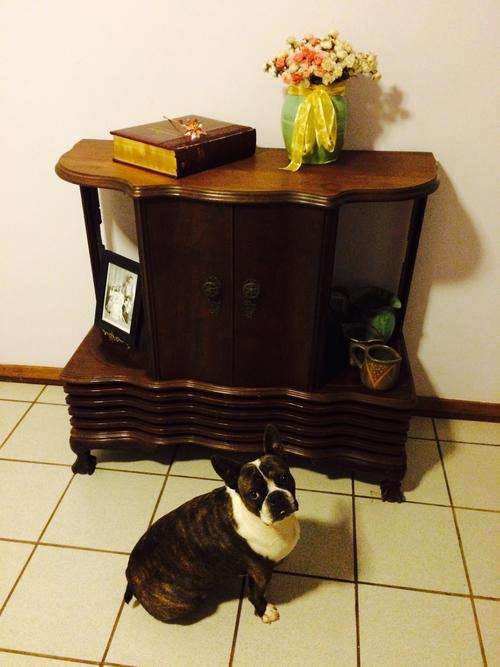 Vintage Imbuia Radio Display Cabinet