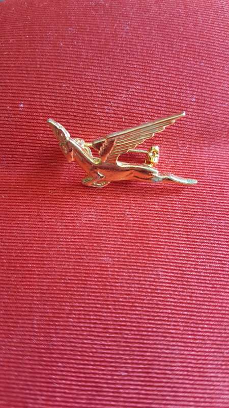 South African Airways Brooch