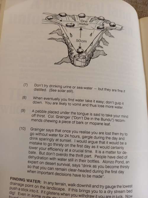 Earthlink Survival Guide to the Outdoors - James Clarke