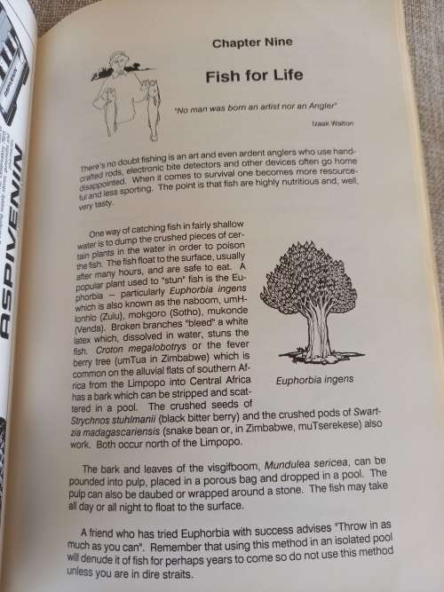 Earthlink Survival Guide to the Outdoors - James Clarke