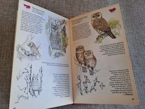 Struik Pocket Guides for Southern Africa Birds of Prey
